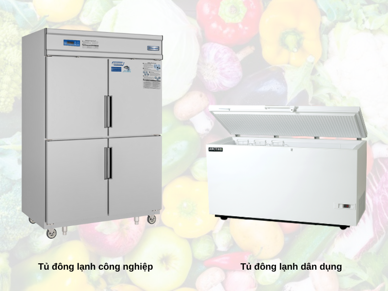 Khác biệt giữa tủ đông công nghiệp và tủ đông dân dụng